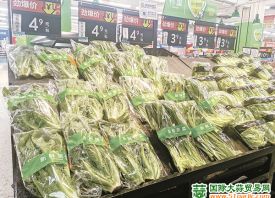 河南：菜價微漲 ()